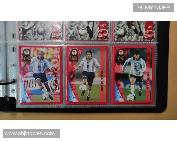 阿根廷足球传奇与帕尼尼球星卡收藏价值深度解析